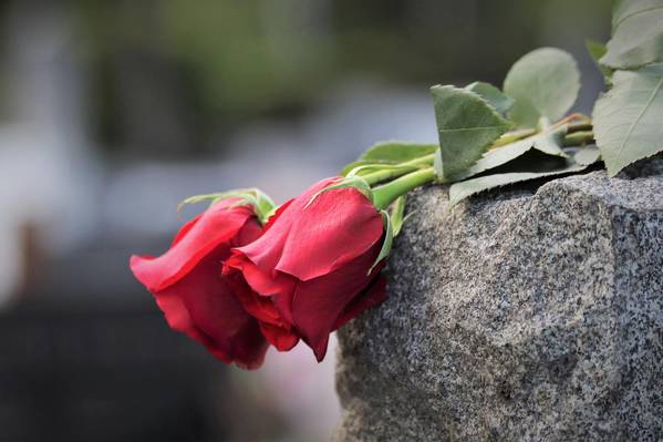 Quelle: ccO gemeinfrei pixabay